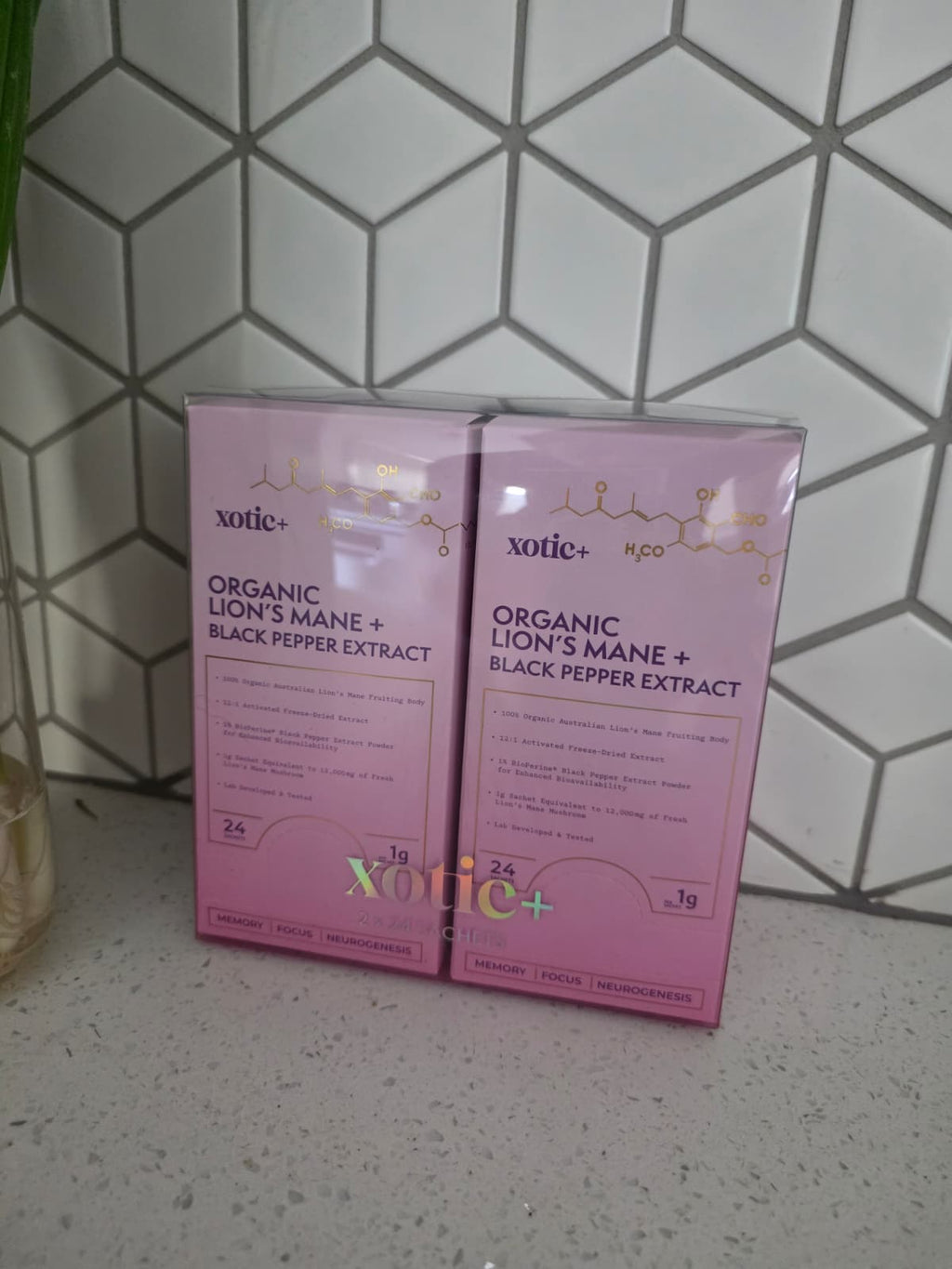Xotic+ Organic Lion's Mane Extract (1g × 24 Sachets)