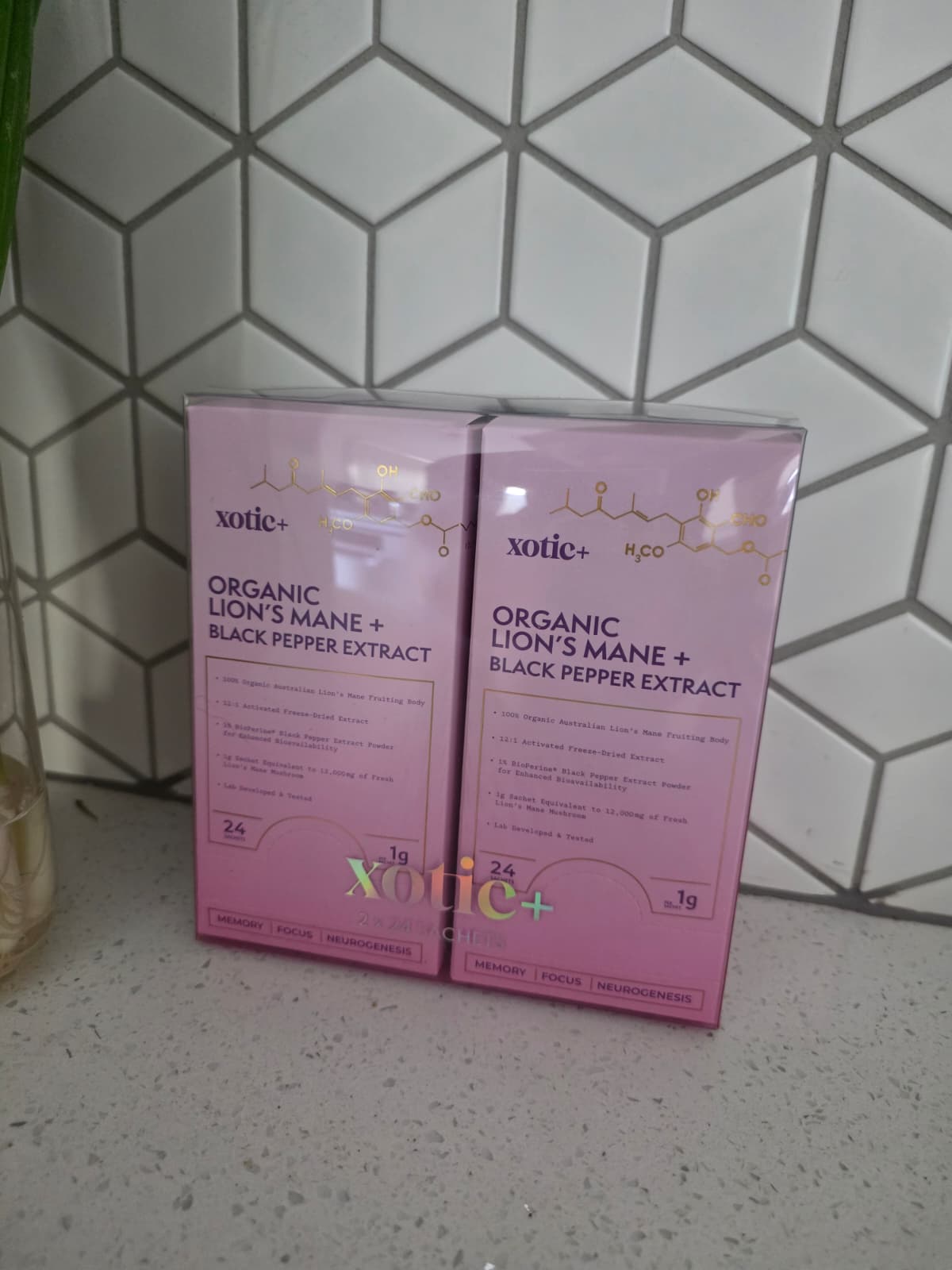 Xotic+ Organic Lion's Mane Extract (1g × 24 Sachets)