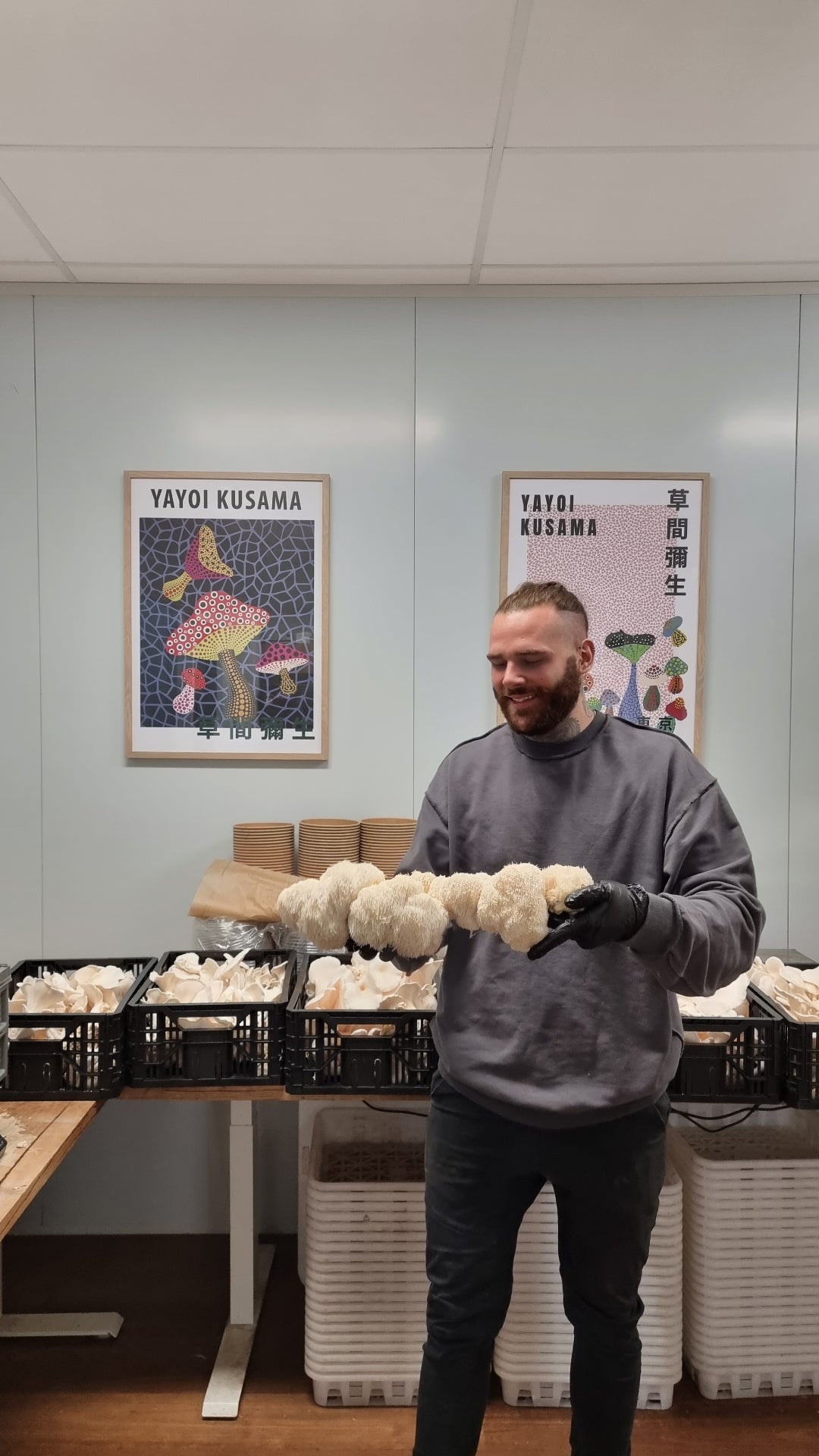 The Xotic Mushrooms grower holding a freshly harvested Lion's Mane cluster
