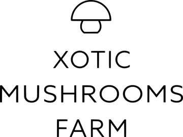 Xotic+